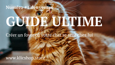 Guide e-book