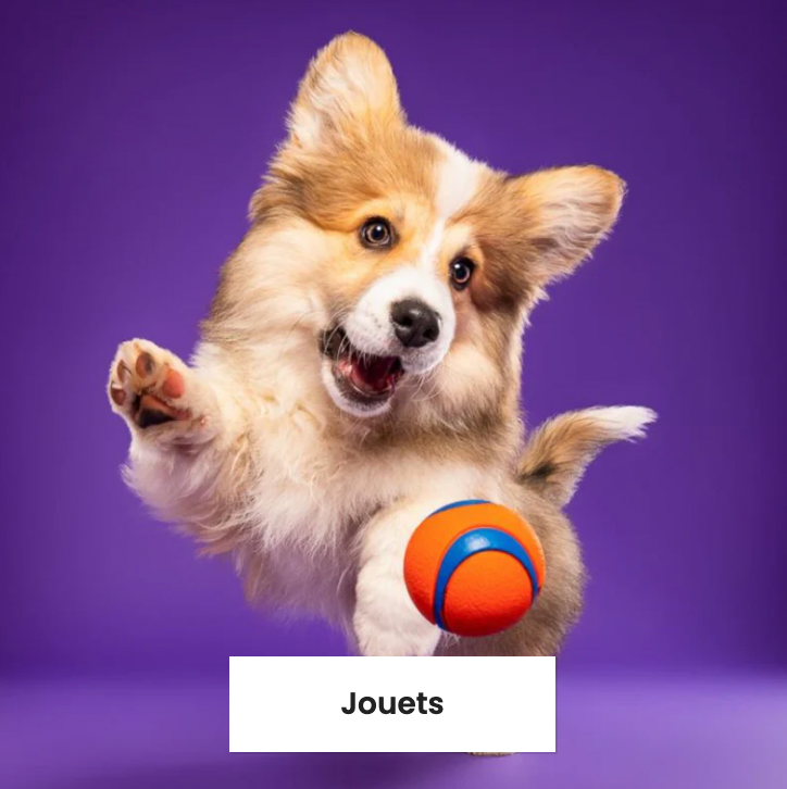 Jouets
