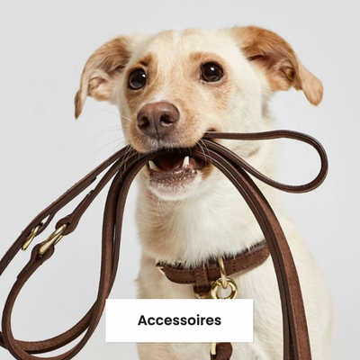 Accessoires