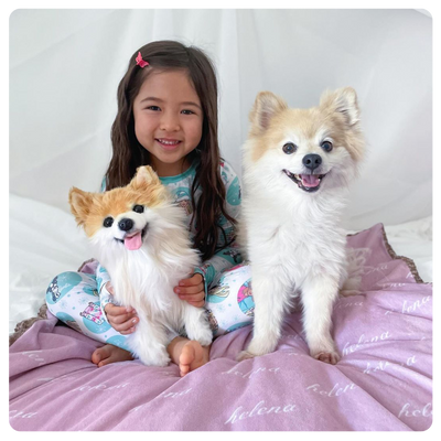 ForeverPet™ – La peluche artisanale & unique de votre compagnon adoré