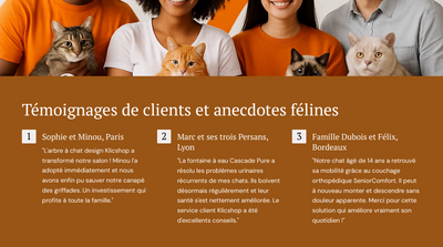 #1 Guide ultime - Créer un foyer où votre chat se sent chez lui (e-book) - Klicshop