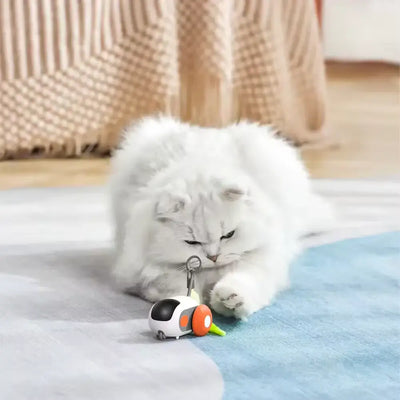 FURTRACK - Jouet Interactif pour Chat - Klicshop