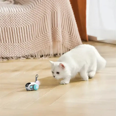 FURTRACK - Jouet Interactif pour Chat - Klicshop