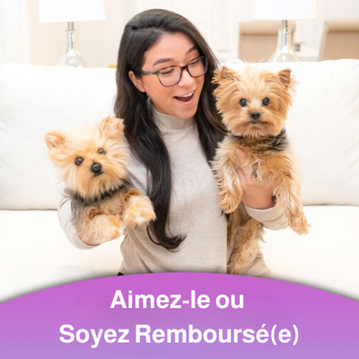 ForeverPet™ – La peluche artisanale & unique de votre compagnon adoré