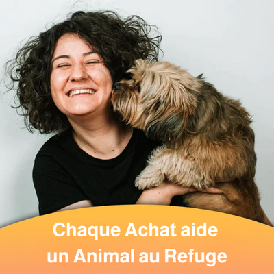 ForeverPet™ – La peluche artisanale & unique de votre compagnon adoré