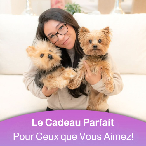 ForeverPet™ – La peluche artisanale & unique de votre compagnon adoré