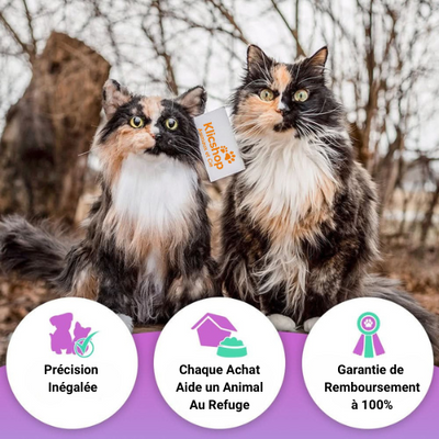 ForeverPet™ – La peluche artisanale & unique de votre compagnon adoré