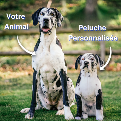 ForeverPet™ – La peluche artisanale & unique de votre compagnon adoré