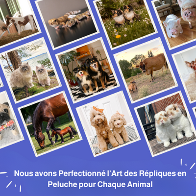 ForeverPet™ – La peluche artisanale & unique de votre compagnon adoré