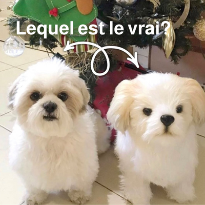 ForeverPet™ – La peluche artisanale & unique de votre compagnon adoré