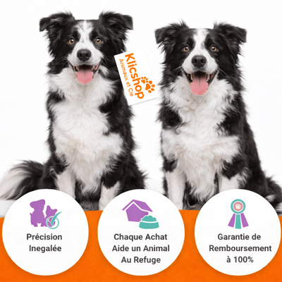 ForeverPet™ – La peluche artisanale & unique de votre compagnon adoré
