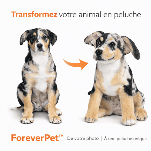 ForeverPet™ – La peluche artisanale & unique de votre compagnon adoré