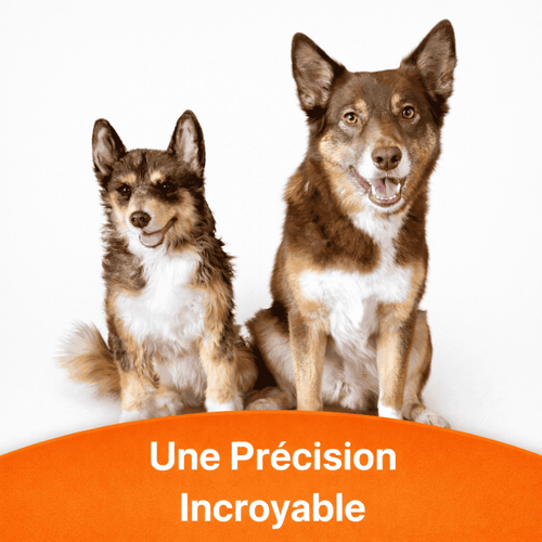 ForeverPet™ – La peluche artisanale & unique de votre compagnon adoré