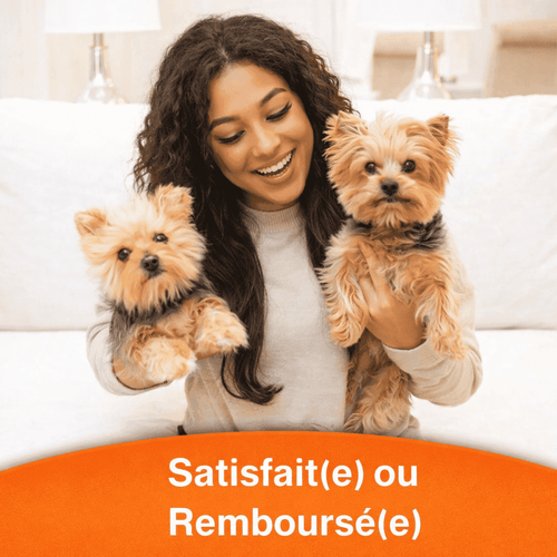 ForeverPet™ – La peluche artisanale & unique de votre compagnon adoré