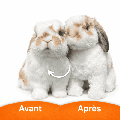 peluche personnalisée reproduisant votre lapin