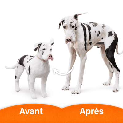 comparaison animal réel et peluche personnalisée