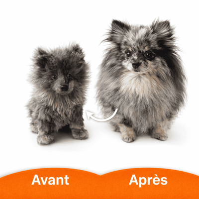 exemple peluche personnalisée créée à partir photo