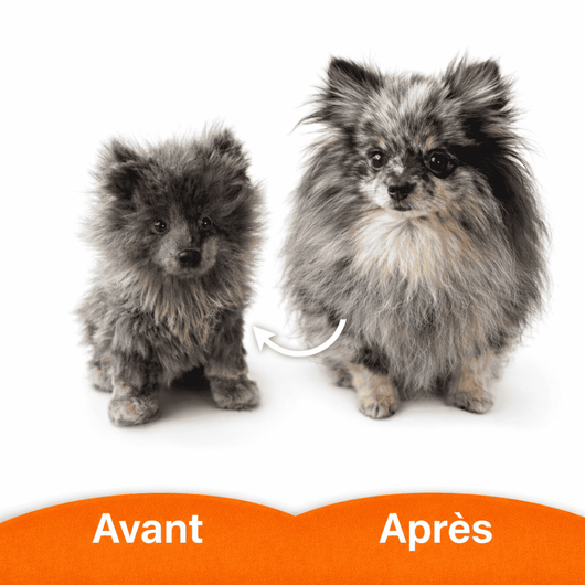exemple peluche personnalisée créée à partir photo