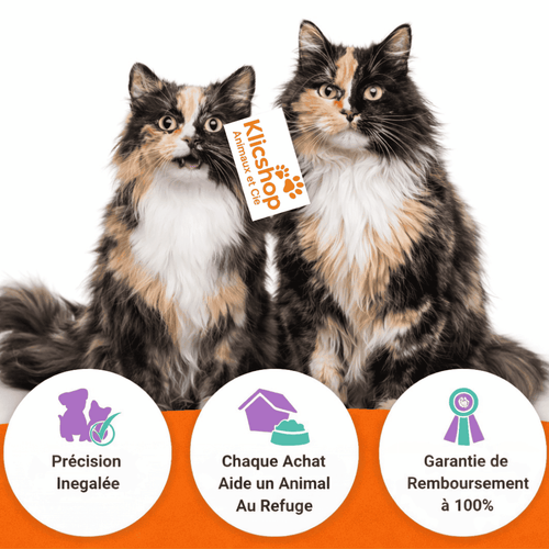 ForeverPet™ – La peluche artisanale & unique de votre compagnon adoré