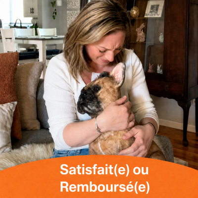 ForeverPet™ – La peluche artisanale & unique de votre compagnon adoré