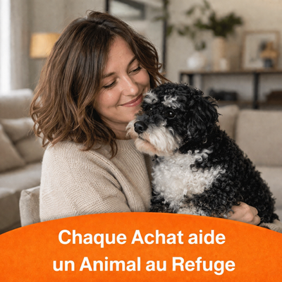 ForeverPet™ – La peluche artisanale & unique de votre compagnon adoré
