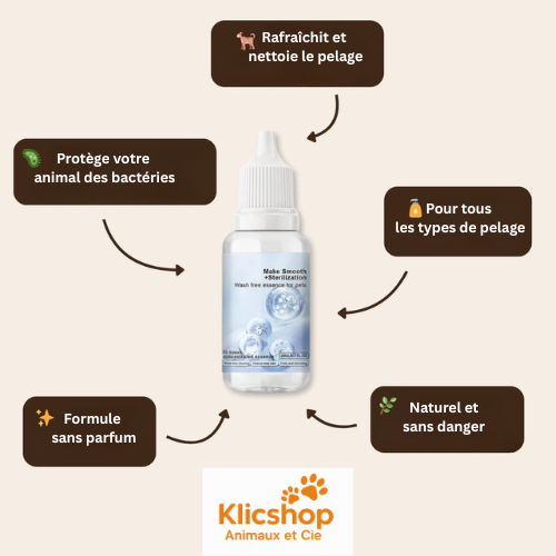 SteamFresh™ - Élixir Pro - Klicshop
