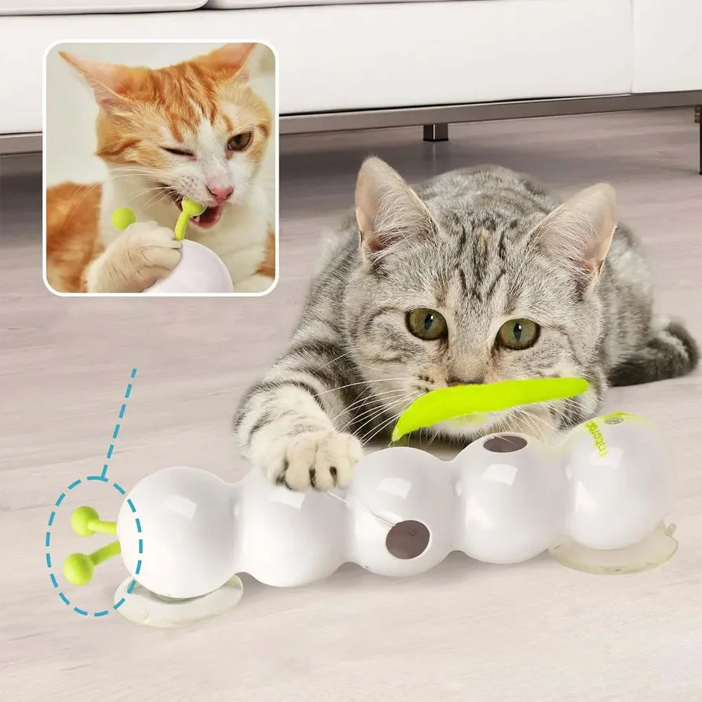 CATNITO - Jouet de Stimulation pour Chat - Klicshop