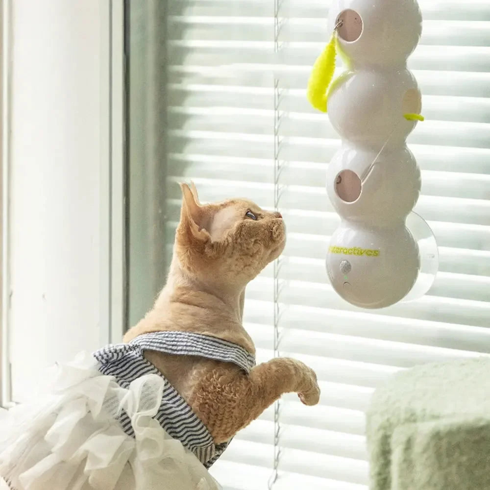 CATNITO - Jouet de Stimulation pour Chat - Klicshop