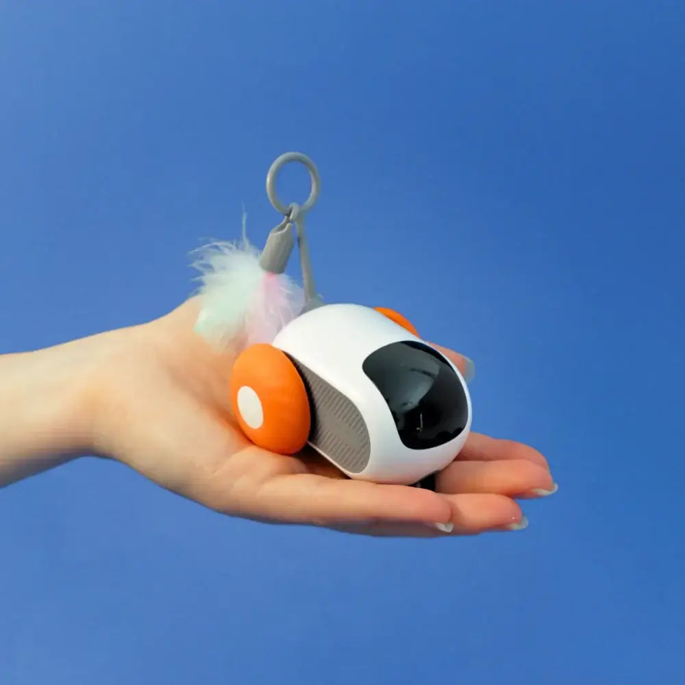 FURTRACK - Jouet Interactif pour Chat - Klicshop